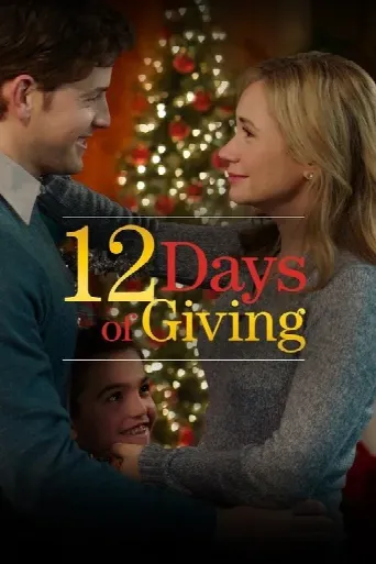 12 Days of Giving (2017) poster