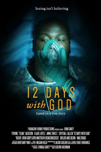 12 Days With God (2019) poster