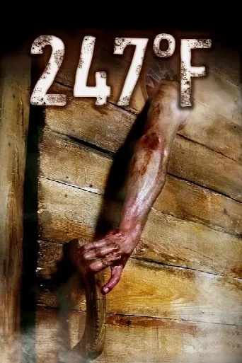247°F (2011) poster