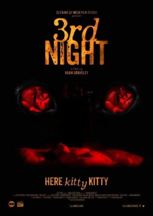 Watch 3rd Night (2017) online free - poster
