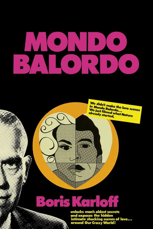 A Fool's World (1964) poster