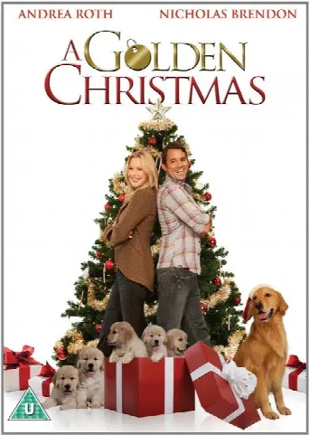 A Golden Christmas (2009) poster