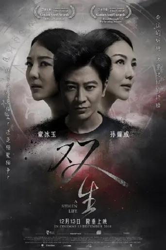A Stolen Life (2018) poster