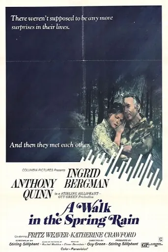 A Walk in the Spring Rain (1970) poster