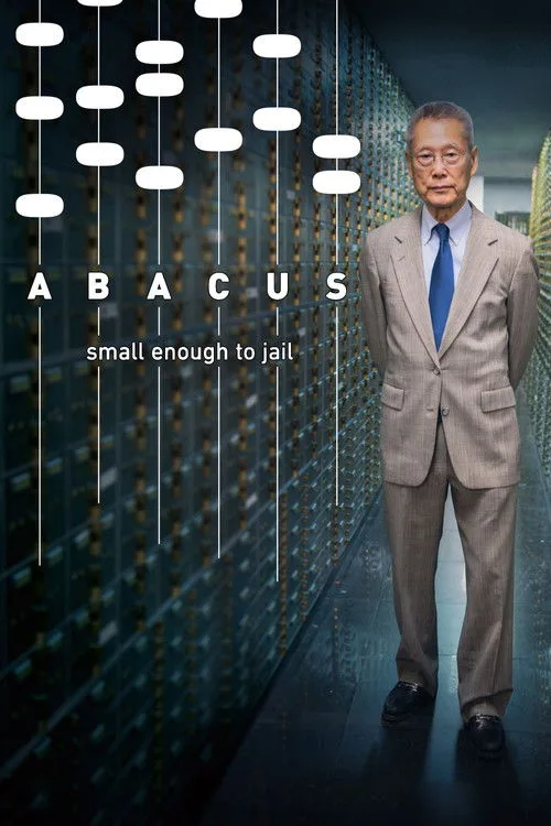 Abacus: Small Enough to Jail (2017) poster