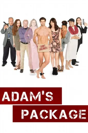 Adam's Package (2021) poster