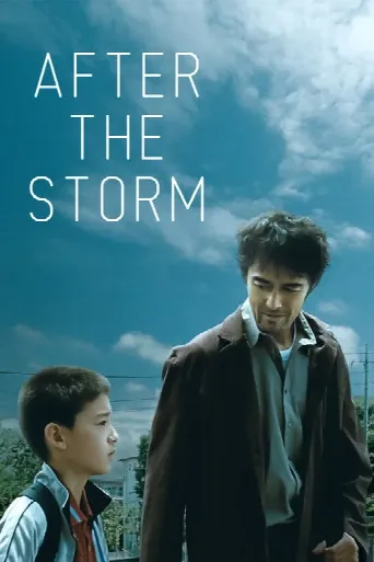 After the Storm (2016) poster