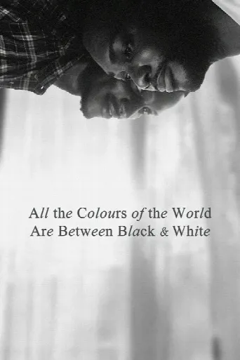 All the Colours of the World Are Between Black and White (2023) poster