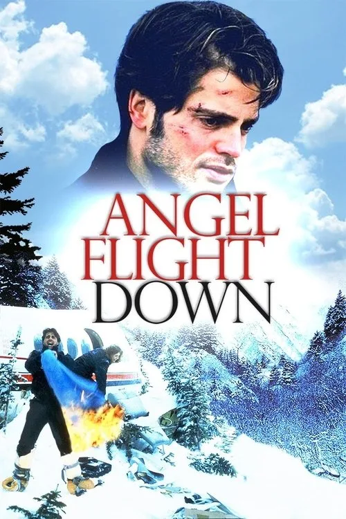 Watch Angel Flight Down (1996) online free - poster