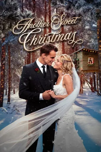 Another Sweet Christmas (2025) poster