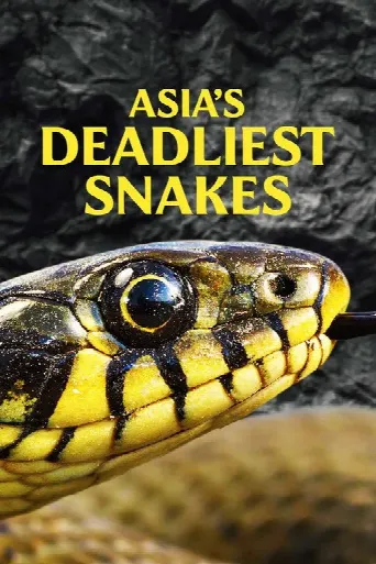 Asia's Deadliest Snakes (2010) poster