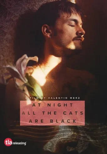 At Night All the Cats Are Black (2023) poster
