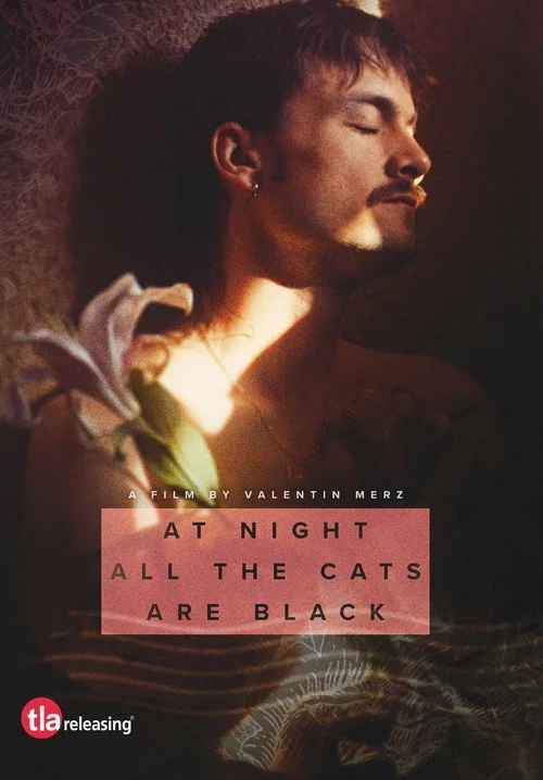 Watch At Night All the Cats Are Black (2023) online free - poster