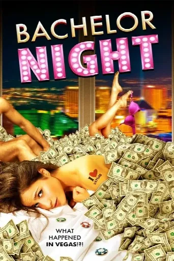 Bachelor Night (2014) poster