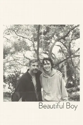 Beautiful Boy (2018) poster