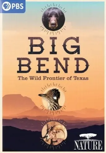 Big Bend: The Wild Frontier of Texas (2021) poster