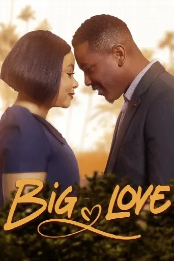 Big Love (2023) poster