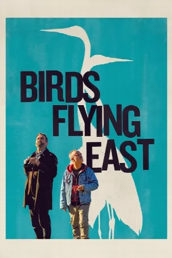 Birds Flying East (2024) poster