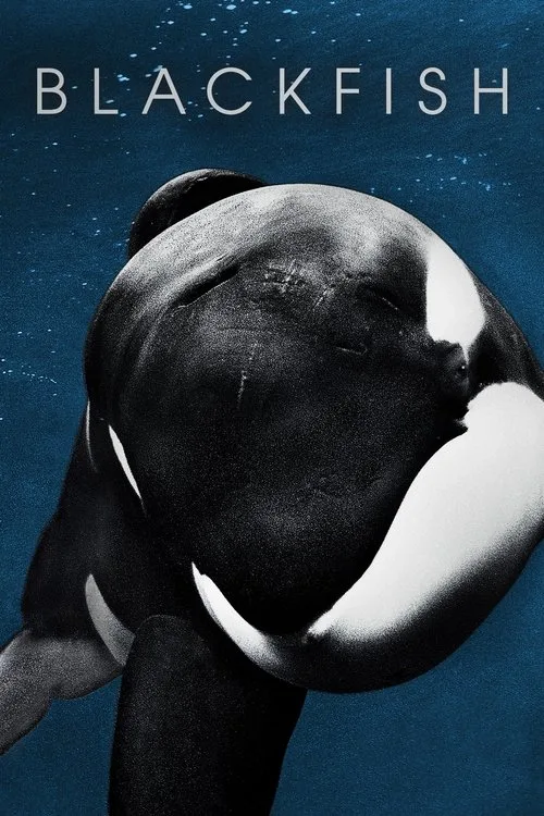Blackfish (2013) poster