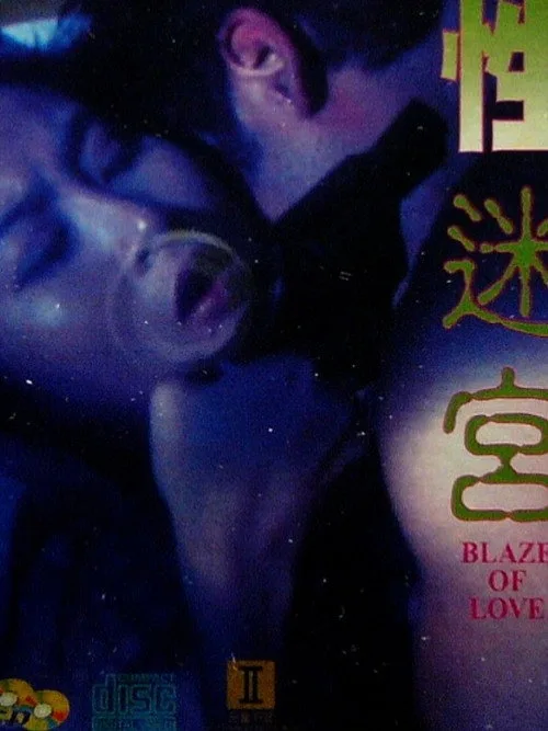 Watch Blaze of Love (1994) online free - poster
