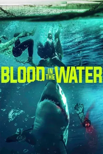 Blood In The Water (2022) poster
