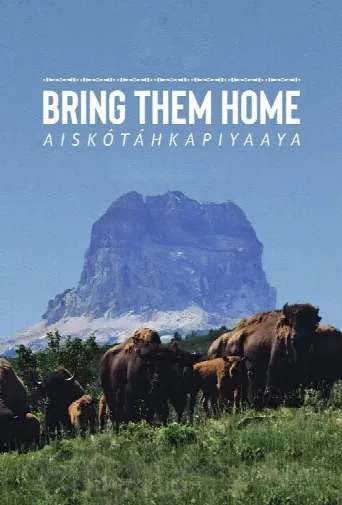 Bring Them Home (2024) poster