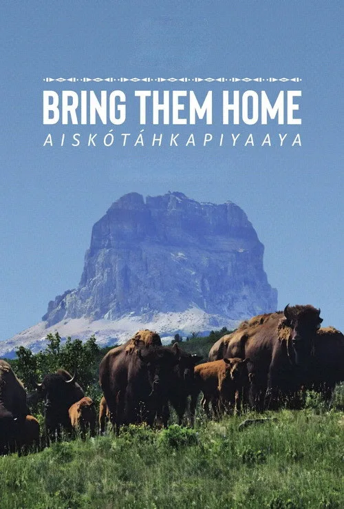 Bring Them Home (2024) poster