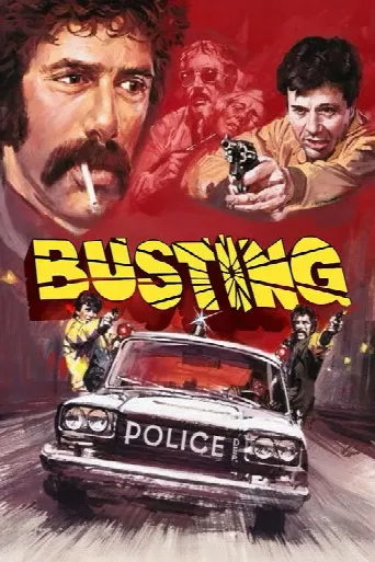 Busting (1974) poster
