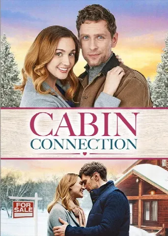 Cabin Connection (2022) poster