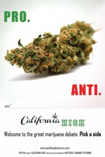 California High (2015) poster