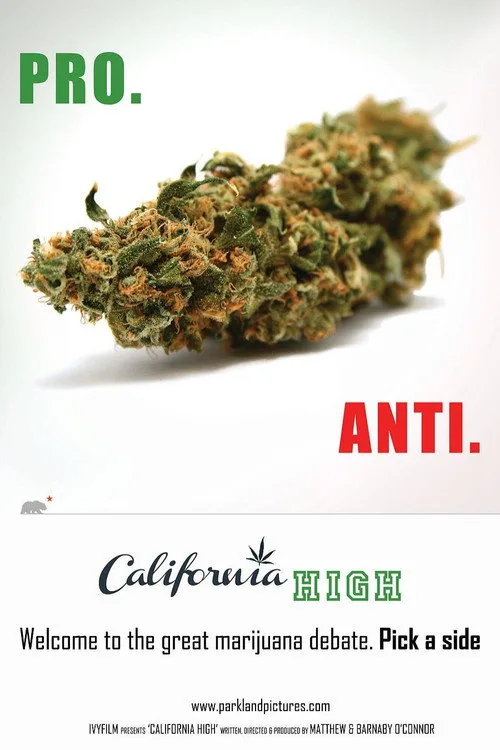 California High (2015) poster