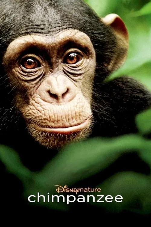 Chimpanzee (2012) poster