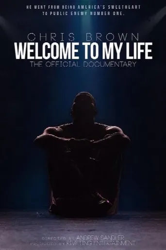 Chris Brown: Welcome to My Life (2017) poster
