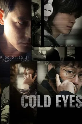 Cold Eyes (2013) poster
