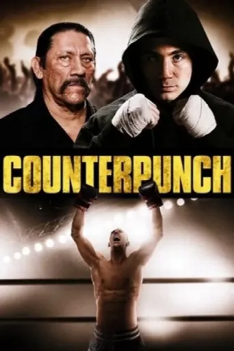 Counterpunch (2013) poster