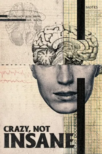 Crazy, Not Insane (2020) poster