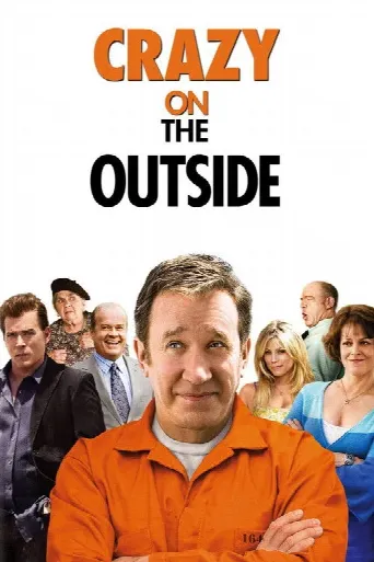 Crazy on the Outside (2010) poster