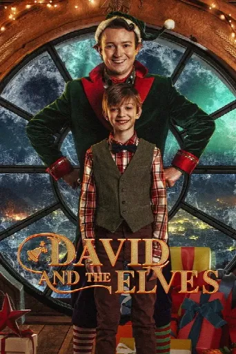 David and the Elves (2021) poster