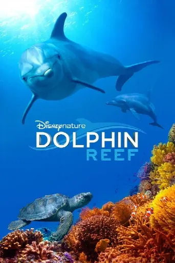 Dolphin Reef (2019) poster