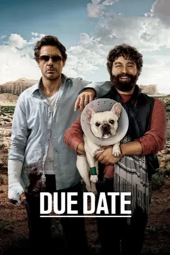 Due Date (2010) poster