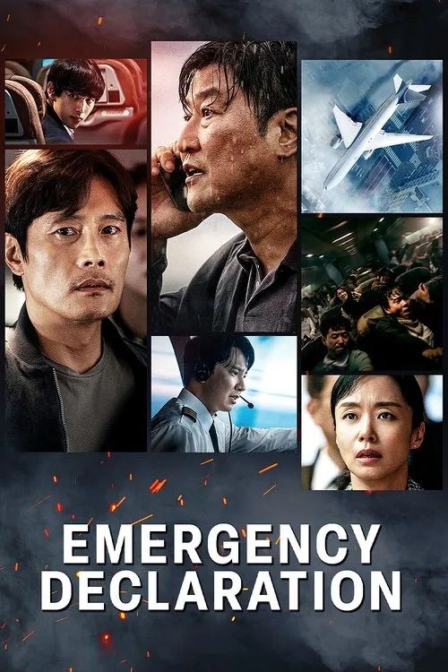 Emergency Declaration (2022) poster