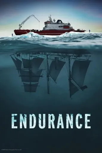 Endurance (2024) poster