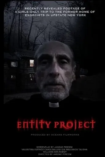 Entity Project (2019) poster