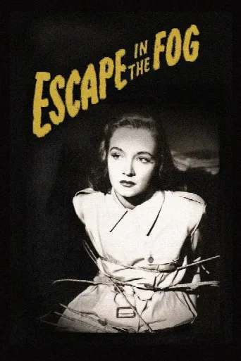 Escape in the Fog (1945) poster