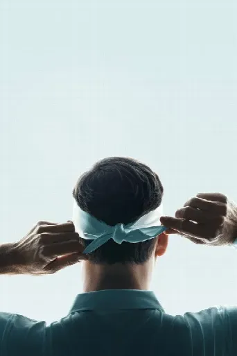 Federer: Twelve Final Days (2024) poster