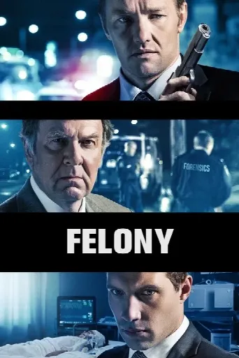 Felony (2014) poster