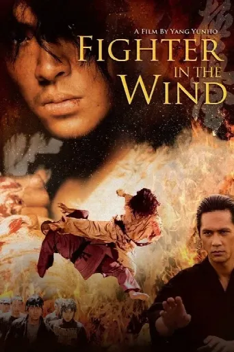 Fighter In The Wind (2004) poster