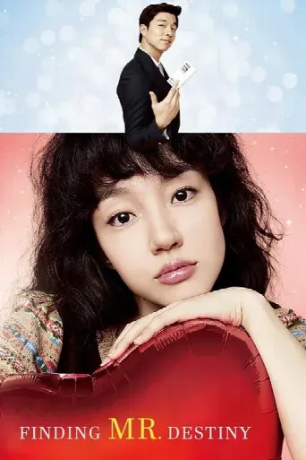 Finding Mr. Destiny (2010) poster