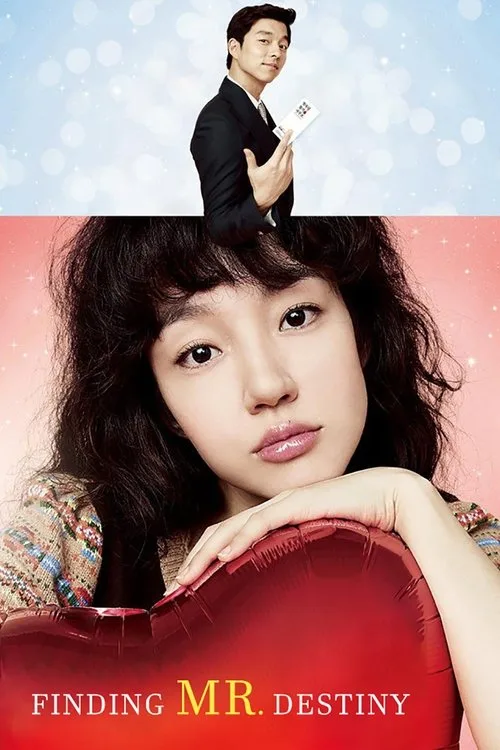 Finding Mr. Destiny (2010) poster