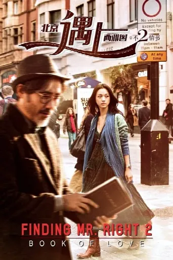 Finding Mr. Right 2 (2016) poster